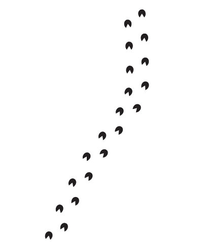 矢量扁黑马驴脚印步道