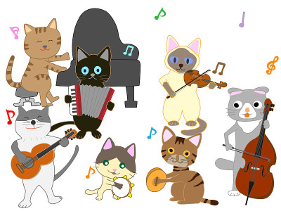 音乐的猫