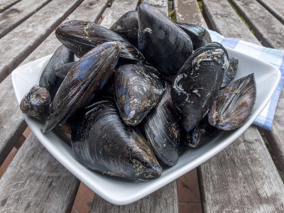 白瓷碗里的新鲜生海贝，铺在青色的棉质餐巾上。木制的桌子和白色的墙壁背景。斜的观点。