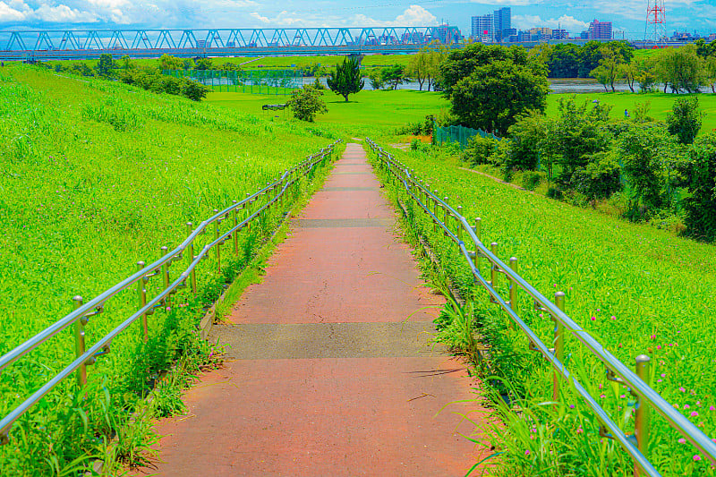 江户川的河床(松堂剪切)