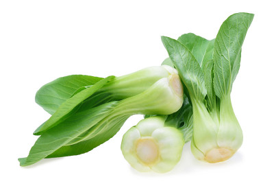小白菜(白菜)孤立在白色上