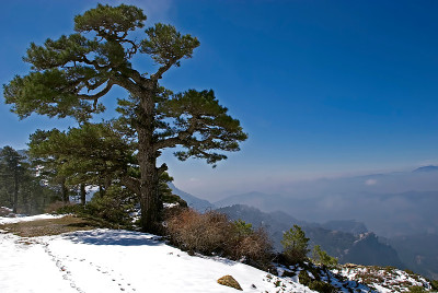 Cerro Villalta nevado，在Sierras de Cazorla, Segura和