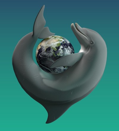 海豚和地球玩耍