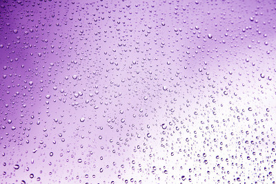 紫色的雨