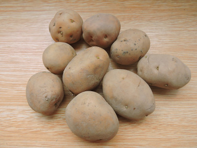 土豆