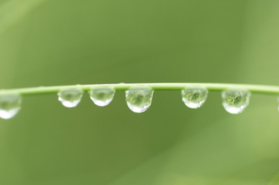 水滴