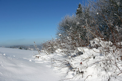 一个寒冷，阳光明媚，有很多雪的冬日