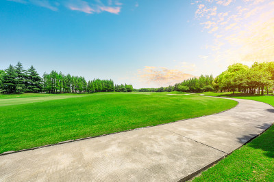 空旷的道路和绿色草地与森林在城市公园