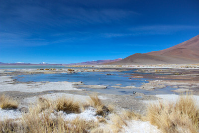Altiplano landscape