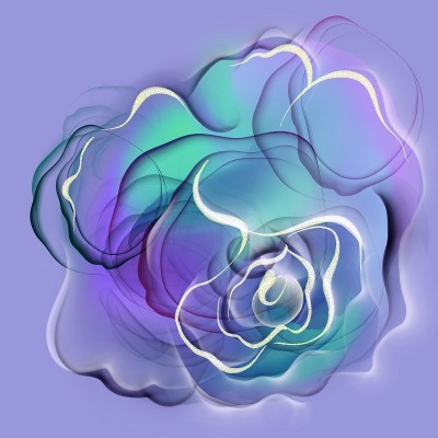 玫瑰花背景