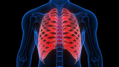人体骨骼系统解剖x线肋骨关节三维渲染