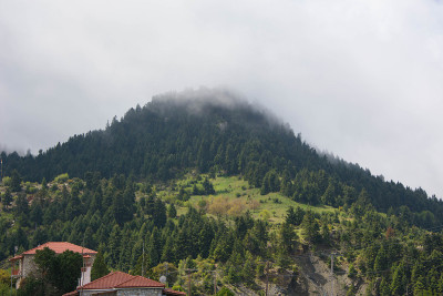 方舟领地山区的一个小村庄