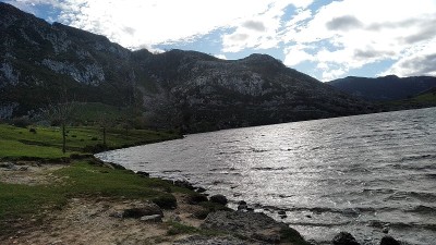 湖烯醇