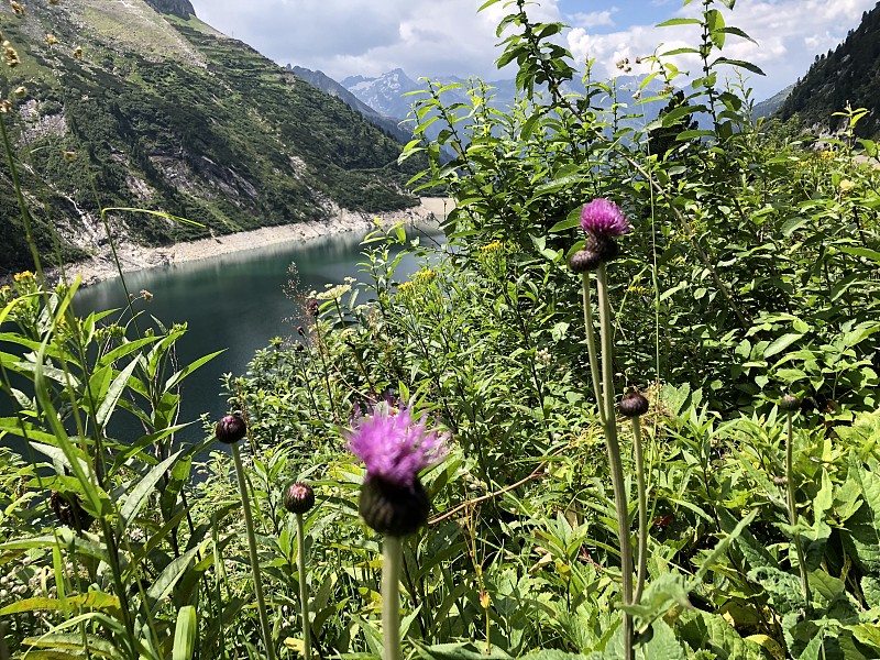 Zillergründl储存坝在后方的齐勒塔尔蒂罗尔附近的奥地利Mayrhofen Fügen Hi