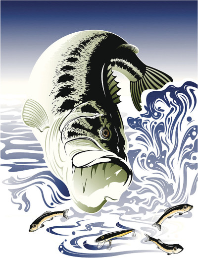 Bass_Fish