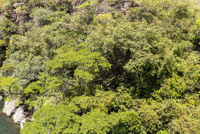 veadeiros的Chapada dos veadeiros