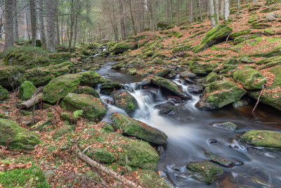 Wildromantische Steinklamm