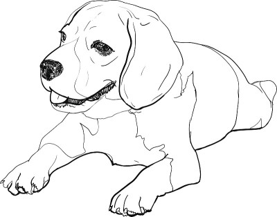 说谎的小猎犬