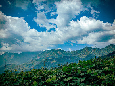 山