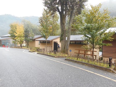 Seotonoyu
