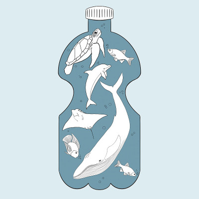塑料海洋污染概念。塑料水瓶，里面有水下世界，海洋动物和鱼。环境问题。