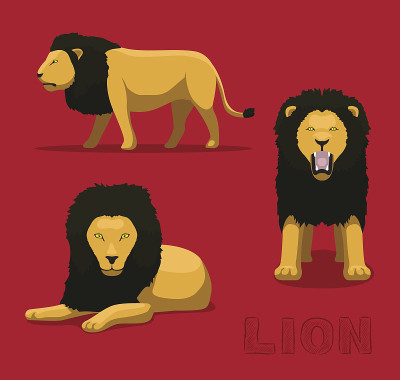 Panthera Lion卡通矢量插图