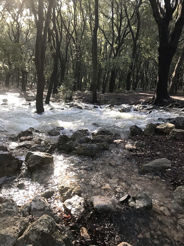 [电话亭]Campanet村