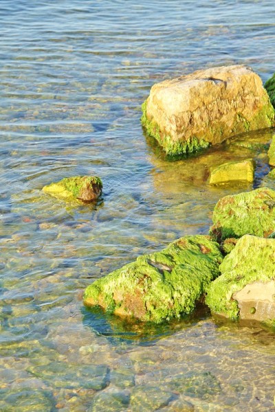 静物-海岸