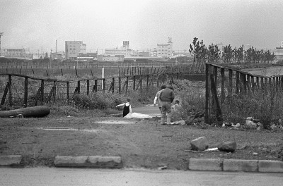 岛在东京湾，梦想