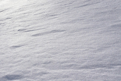 冬天有冰雪
