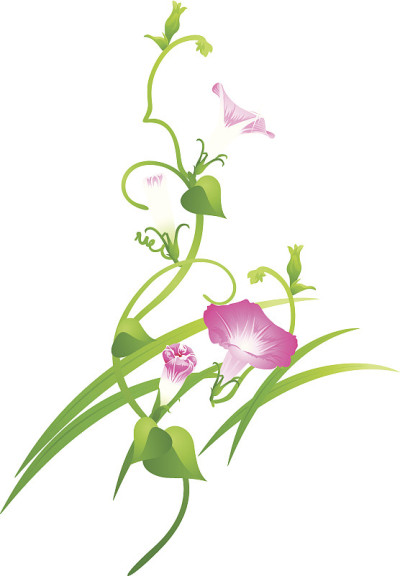 矢量图标花