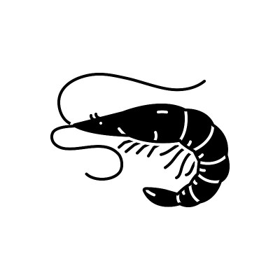 虾虾