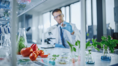 前景集中于一系列实验室培养的蔬菜:豌豆，西红柿，甜椒，植物。在现代食品科学实验室工作的医学科学家。