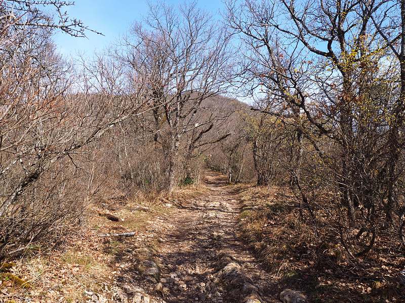 通往查特鲁斯山的拉歇山顶的小路