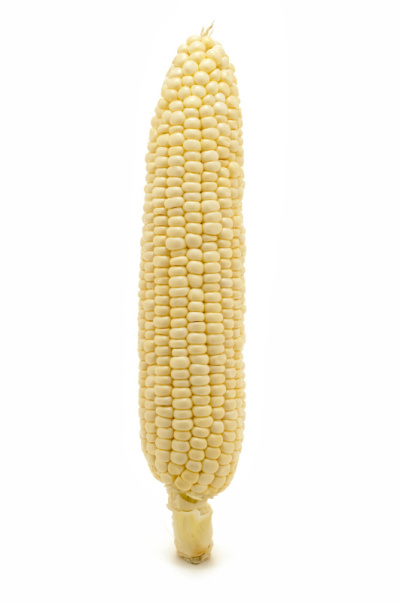 玉米