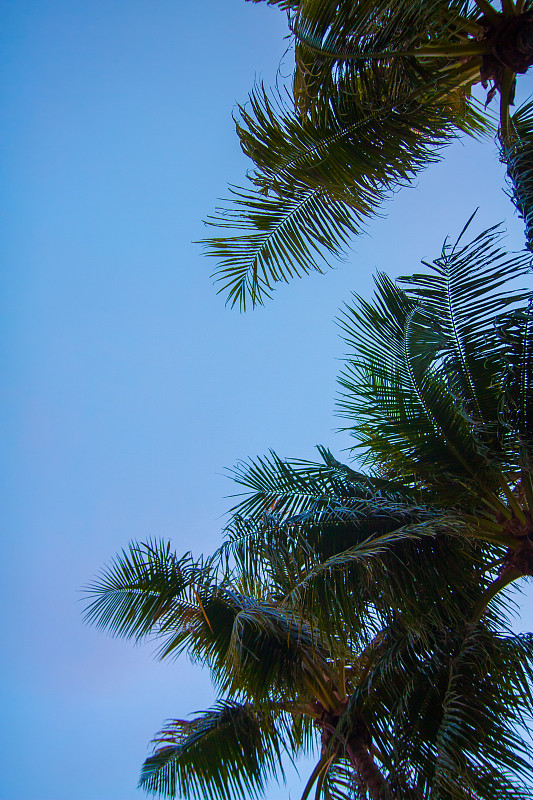 热带的天空