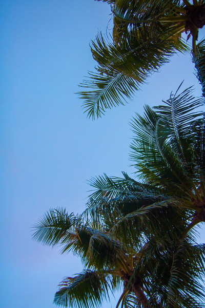 热带的天空
