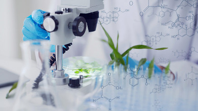 生物技术的概念。食品科技。营养科学。