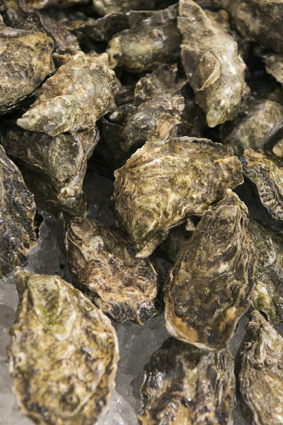 欧洲葡萄牙阿尔加维卢勒市场