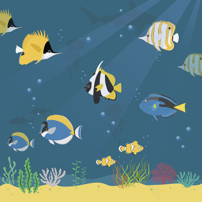 海洋生物collection2