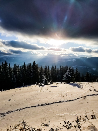 冬季风景布科维尔山区滑雪胜地