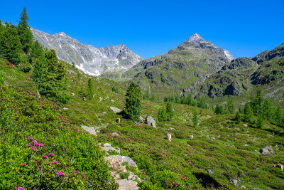 在欧洲奥地利的蒂罗尔东部田园诗般的山景中徒步旅行