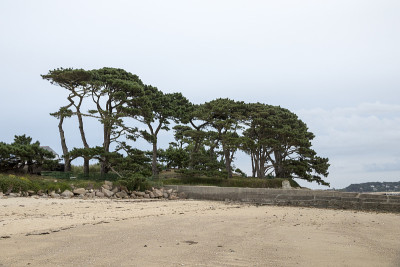 Ile Callot、法国