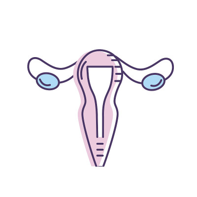 子宫输卵管解剖女性