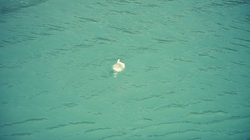 漂浮在蓝绿色海水中的小冰山