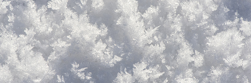 新粉雪的细节作为背景