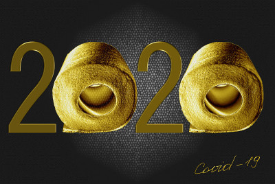 金。2020年厕纸短缺。新型冠状病毒肺炎冠状病毒的恐慌