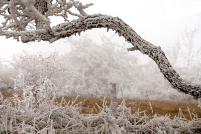 下雪的冬天的风景