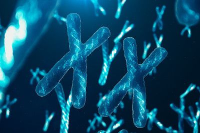xx -携带遗传密码的DNA的染色体。遗传学概念，医学概念。未来,基因突变。在生物层面改变遗传密码。