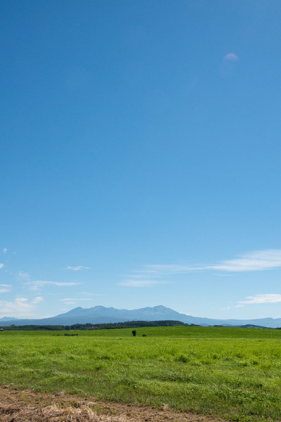 碧绿的草地和夏日的山脉映衬着北海道的蓝天